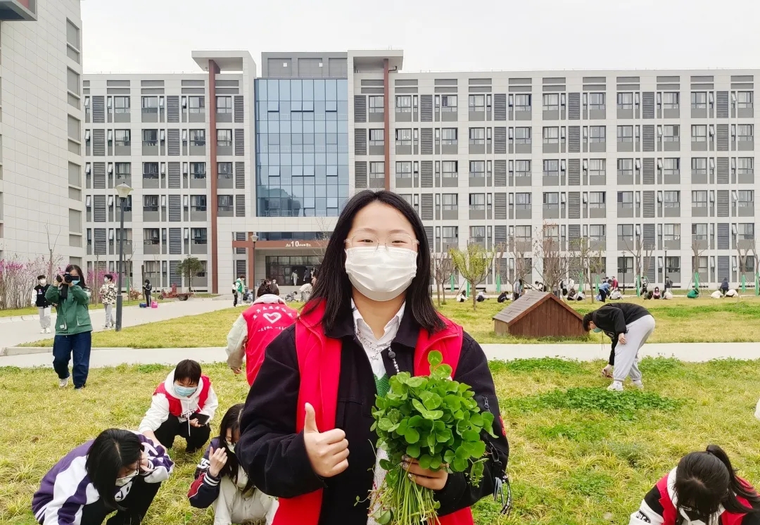 【志愿服務(wù)】去除雜草迎新綠，一展校園青春色