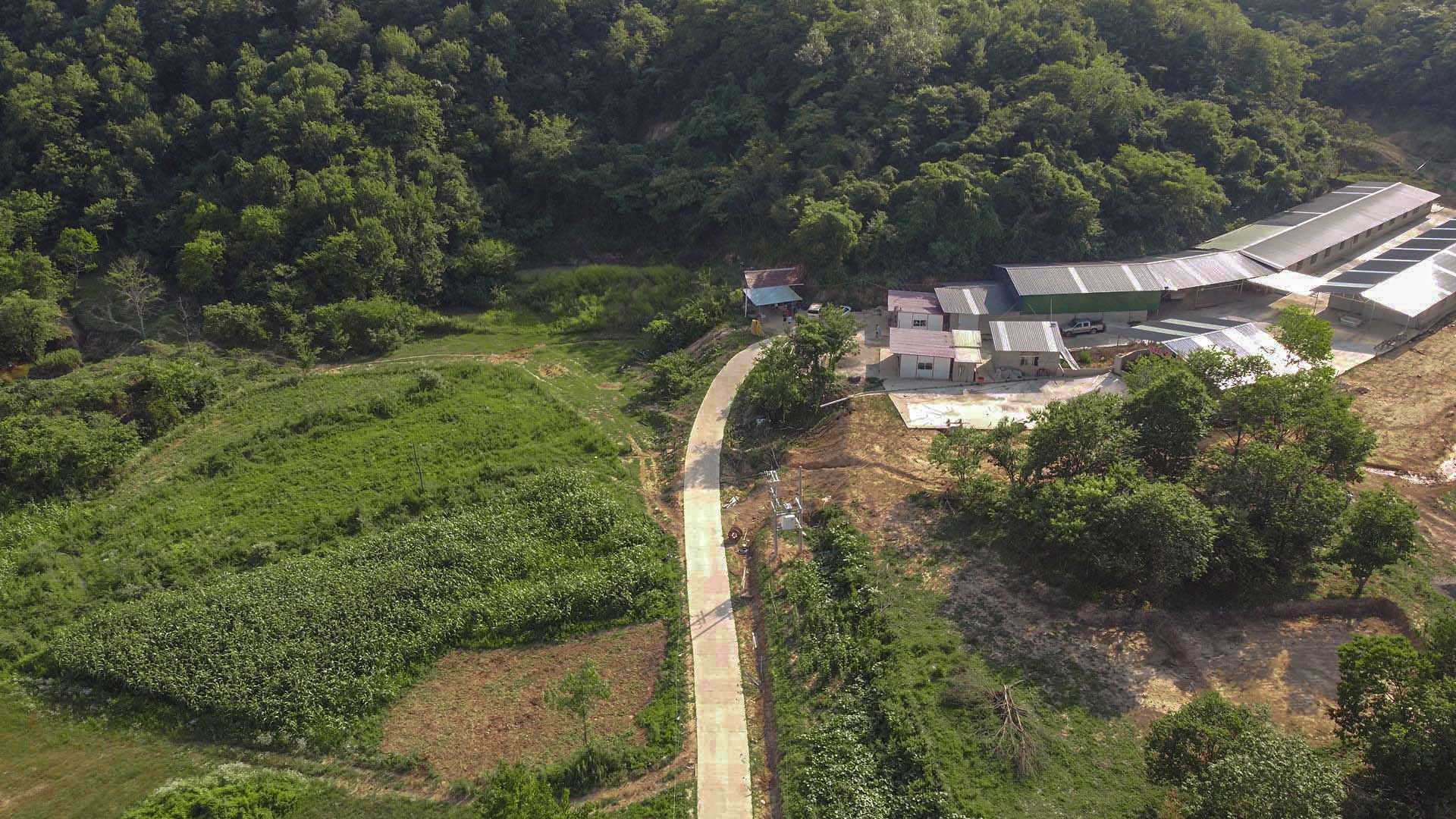 城市建設學院鄉(xiāng)村振興實踐團開展生態(tài)產(chǎn)業(yè)調(diào)研共助鄉(xiāng)村振興