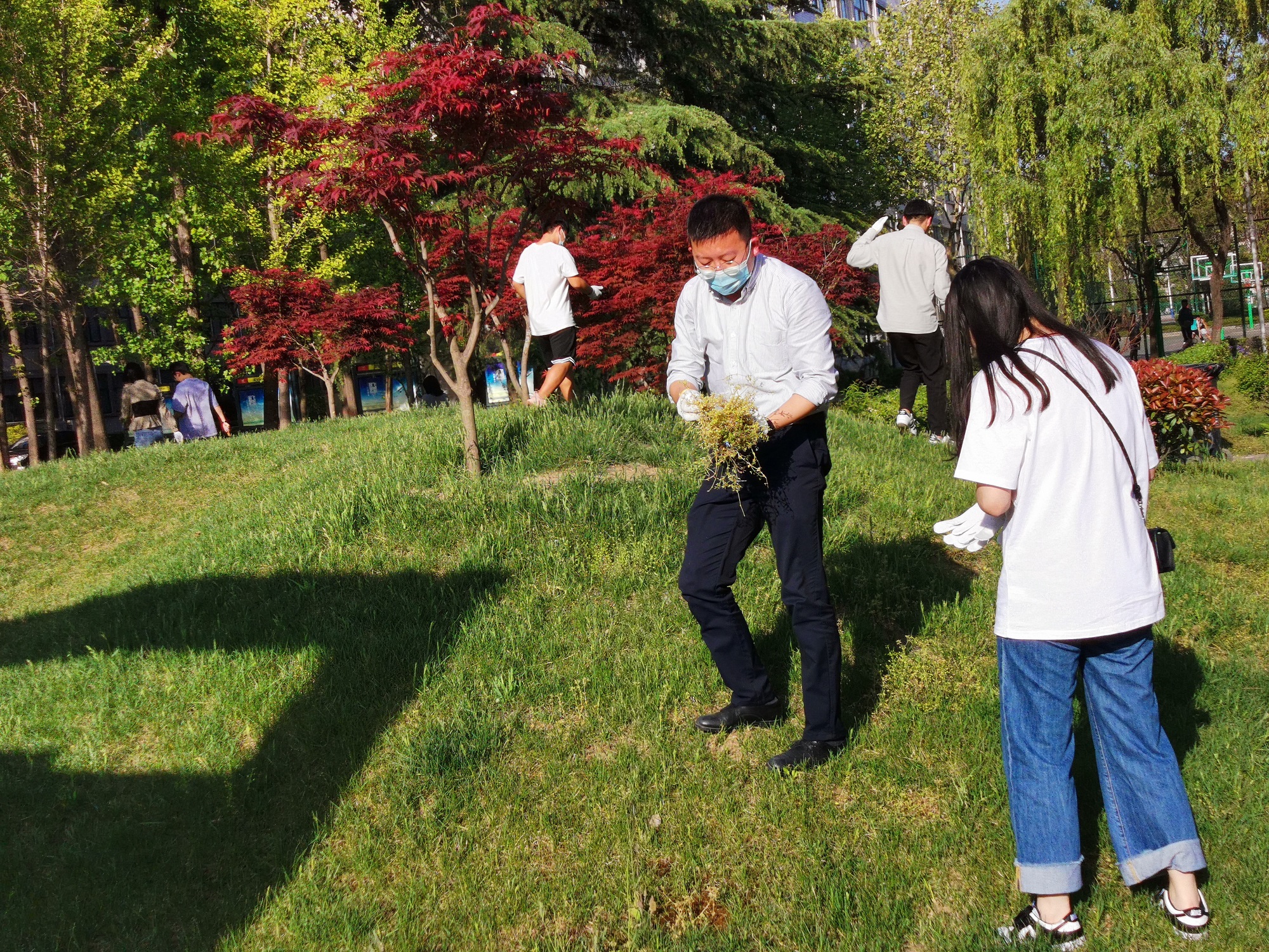 拔草護(hù)綠凈校園，勞動(dòng)實(shí)踐促成長(zhǎng)