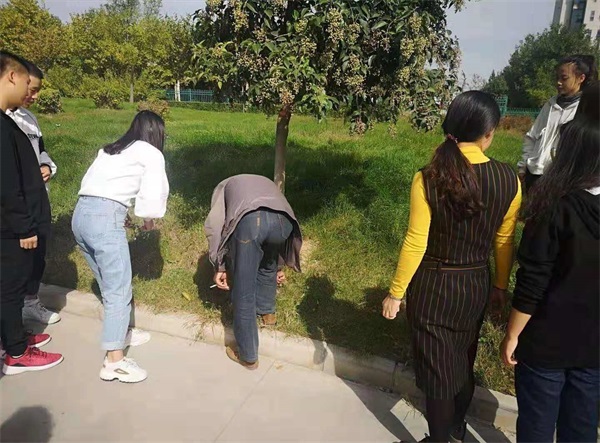 新傳媒與經(jīng)濟管理學(xué)院舉辦校園綠化實踐活動